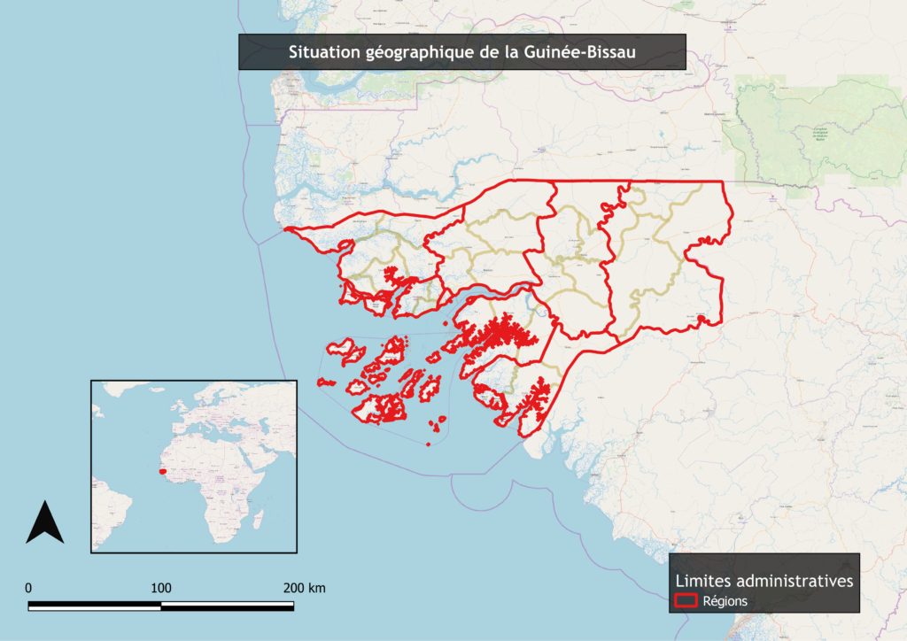 Formation SIG Guinée-Bissau